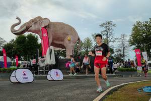 BIB: 
                            <button type="button" onclick="openModal(26528942)" class="btn btn-primary btn-sm float-right btn-popup" data-toggle="modal" data-target=".modal-high-quality">
                        <i class="fas fa-shopping-cart"></i> Add to Cart
                    </button>
                                            <button type="button" onclick="isThisMe(26528942, true)" class="btn btn-success btn-sm float-right btn-popup btn-isme hidden" data-toggle="tooltip" data-placement="bottom" title="นี่คือรูปของคุณใช่ไหม คลิกที่นี่เพื่อเอาเข้าอัลบั้ม">
                        <i class="fas fa-plus"></i> Add to album
                    </button>
                    <button type="button" onclick="isThisMe(26528942, false)" class="btn btn-warning btn-sm float-right btn-popup btn-isnotme hidden">
                        <i class="fas fa-ban"></i> Remove from album
                    </button>